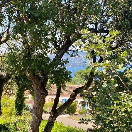 Vue Donnant Sur Le Golfe De St Tropez, 2 Chambres, 6 Pers, Piscine Commune Vakantiehuis *